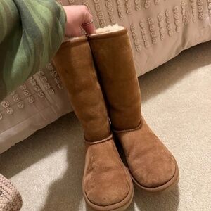 Tall Uggs chestnut